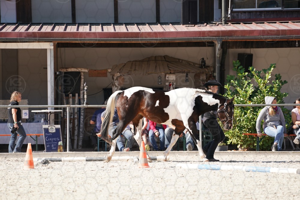 s_A_907511.JPG